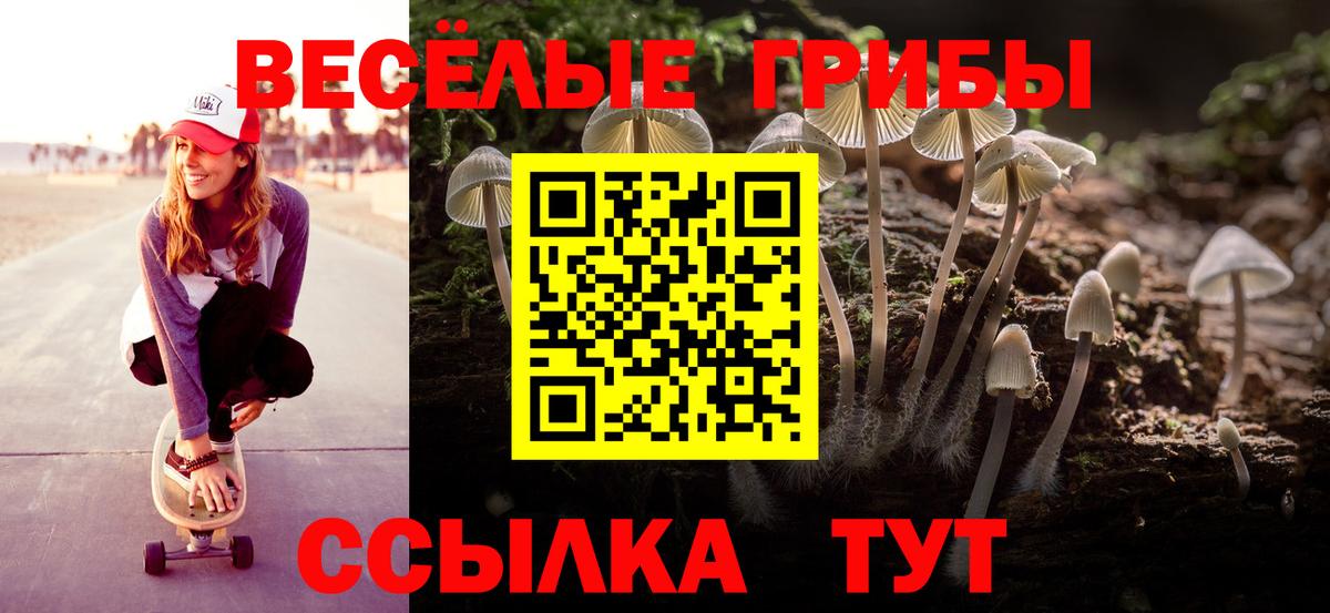 Елизово  Псилоцибиновые грибы MAGIC MUSHROOMS  Вход с VPN  Галлюциногенные грибы Psilocybe 