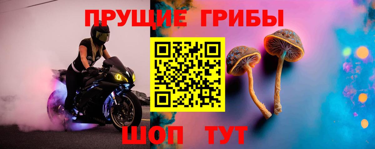 Галлюциногенные грибы Cubensis Елизово